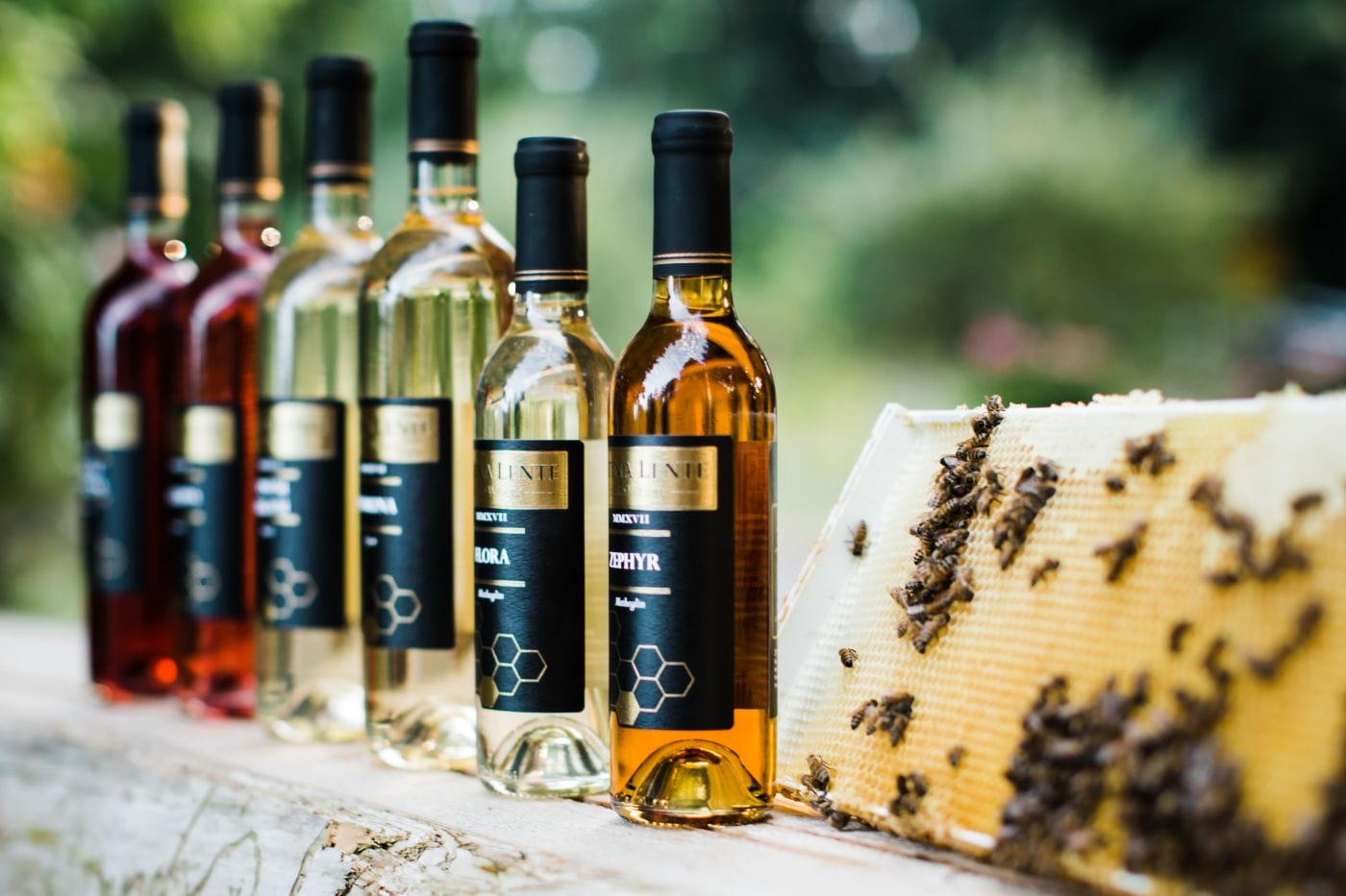 Several bottles of wine with black and gold labels are lined up next to a piece of honeycomb covered in bees, set outdoors on a wooden surface.