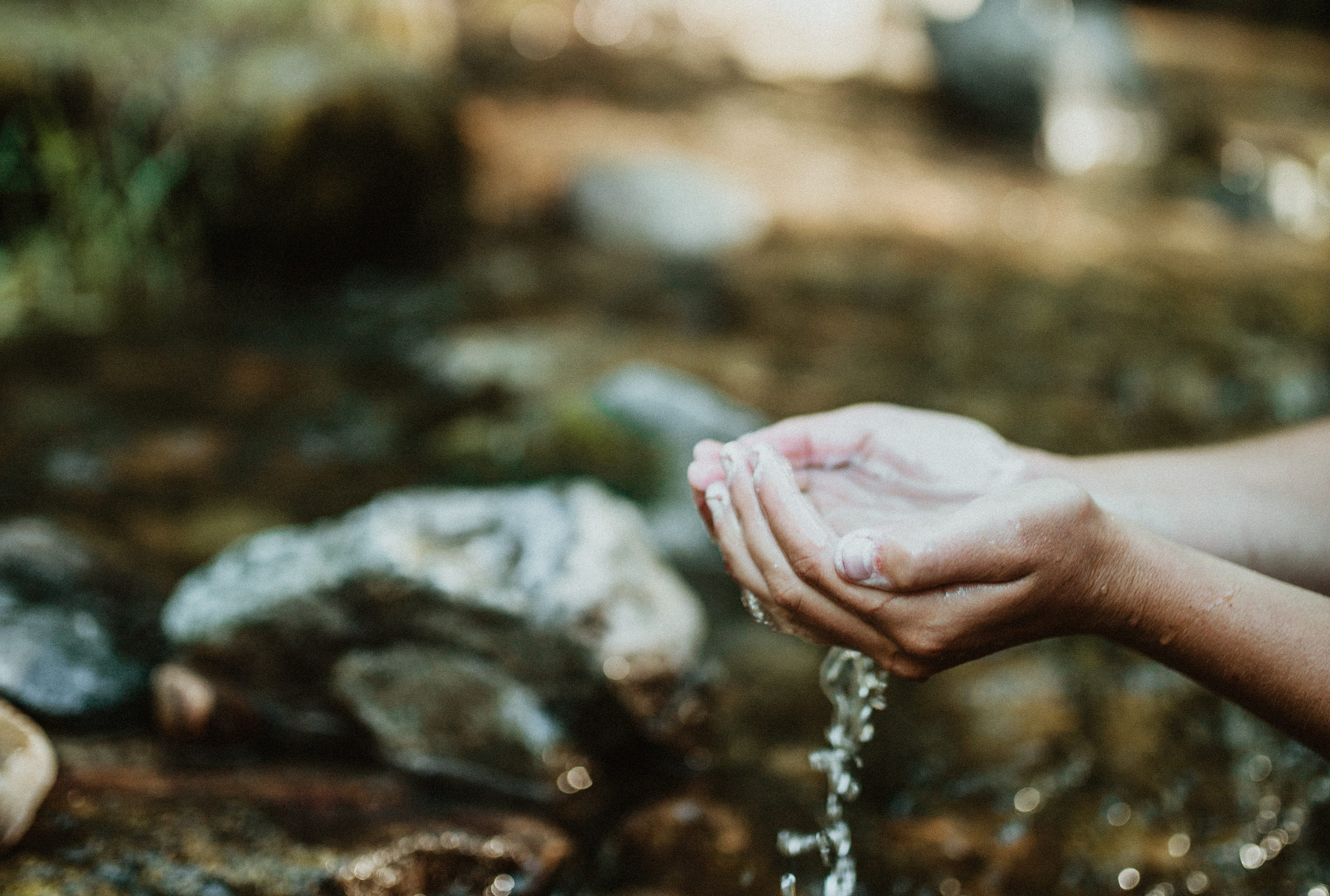 A person’s hands cup flowing water from a shallow rocky stream, with a soft focus background of water and rocks.