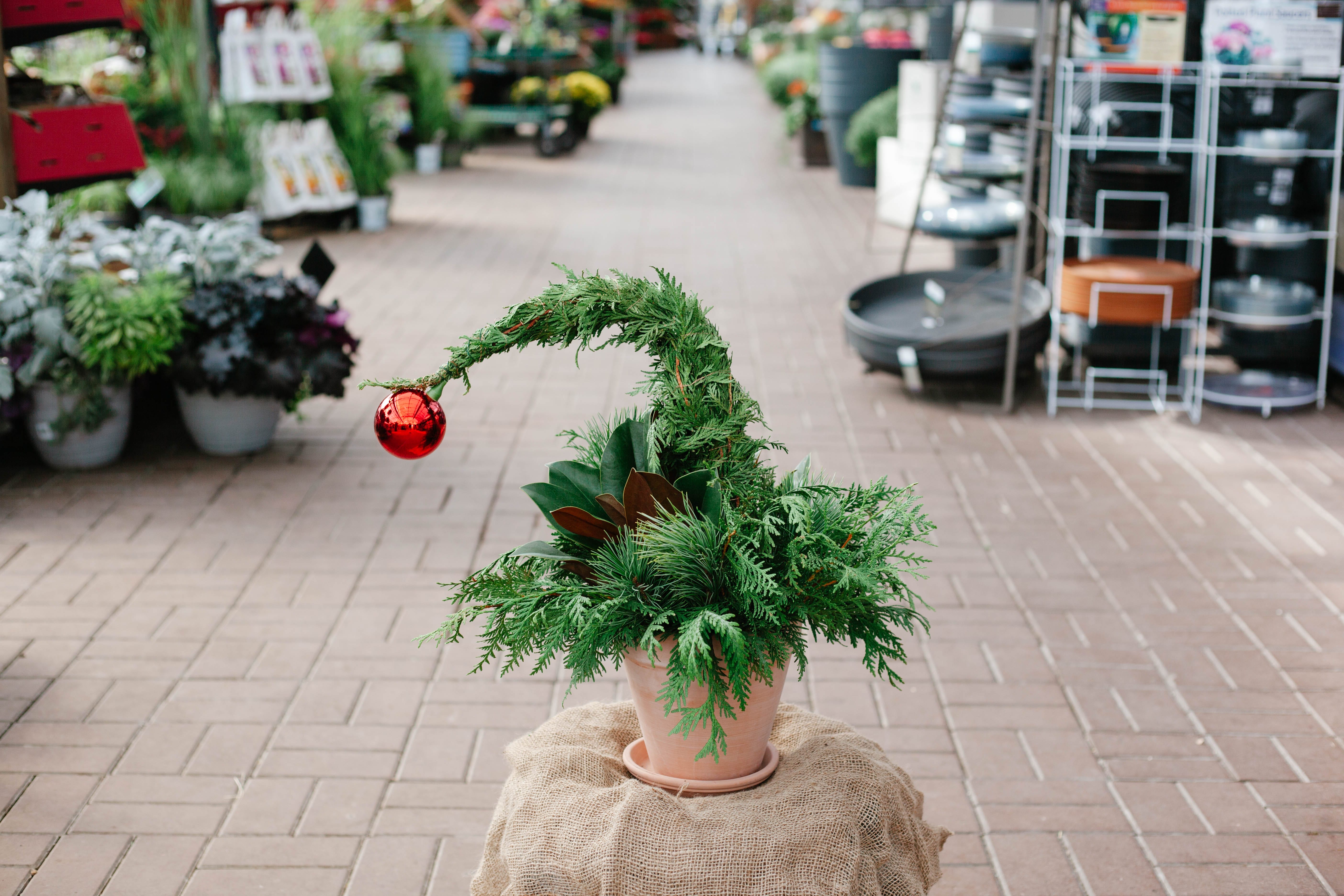 Grinch Tree Centerpiece Workshop - Second Nature at Reads Creek