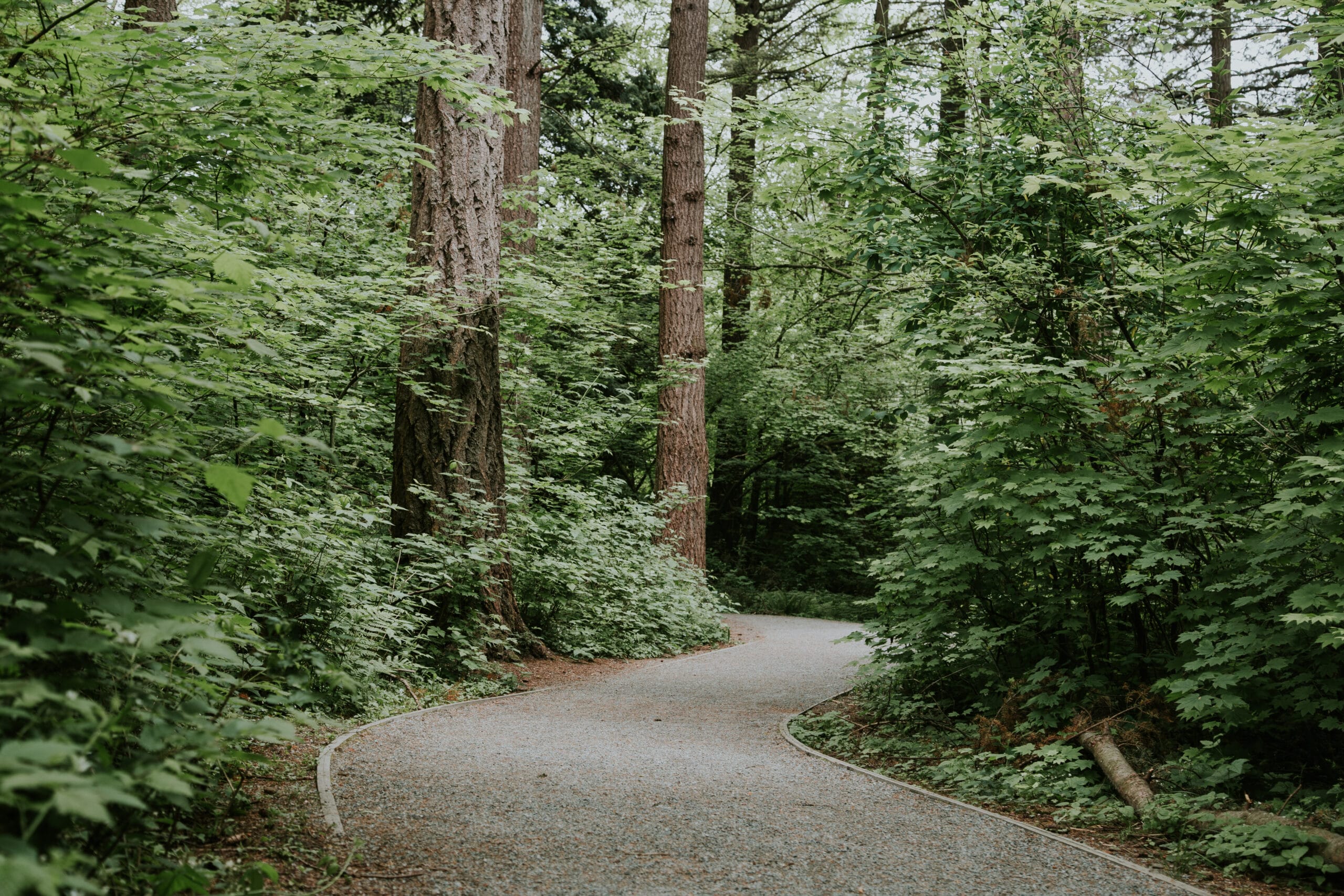 Trail in Langley