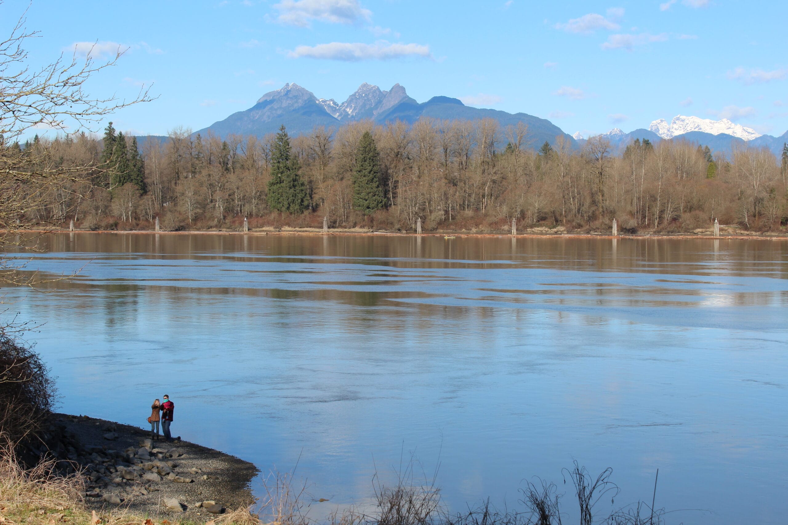 View To Fraser River From Derby Reach Regional Park