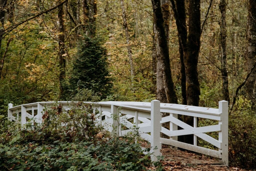 Williams Park