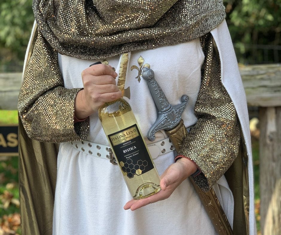 A person dressed in medieval-style clothing holds a bottle of white wine labeled "Estian Lani Mystica" and a sword, standing outdoors near a wooden fence.