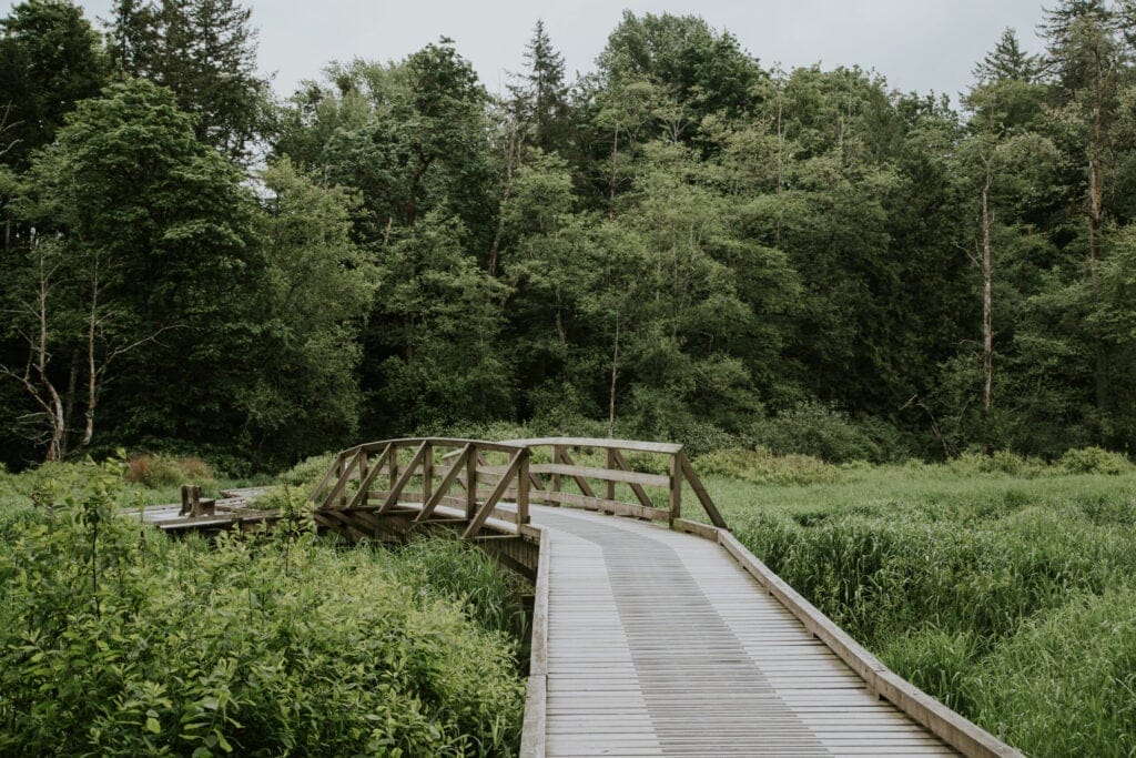 Campbell Valley Regional Park, Langley, BC
