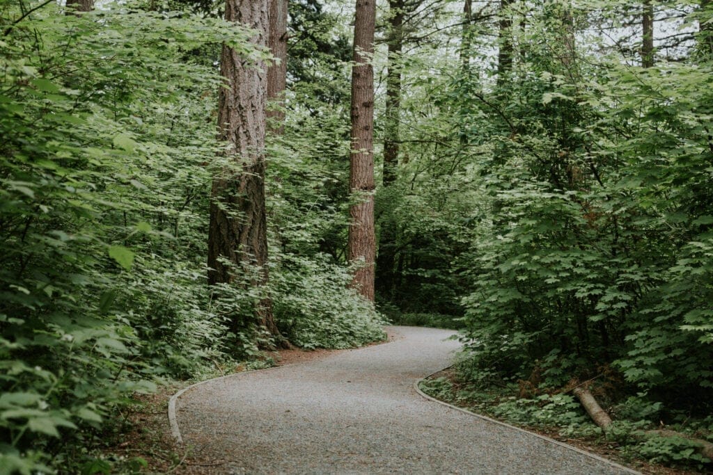 A winding gravel path through lush green forest at Campbell Valley Regional Park in Langley, BC, surrounded by tall trees and dense undergrowth.