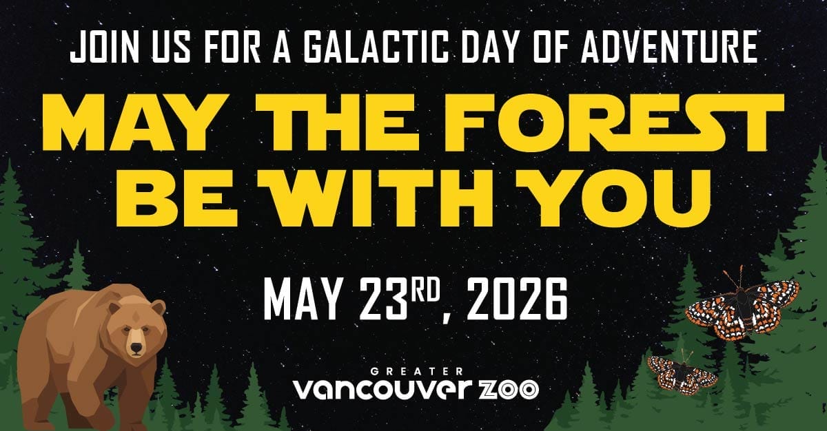 Ff 4b0717c45c8dcacbea4ca7e105c18cc2 Ff GVZoo Event Listing May The Forest