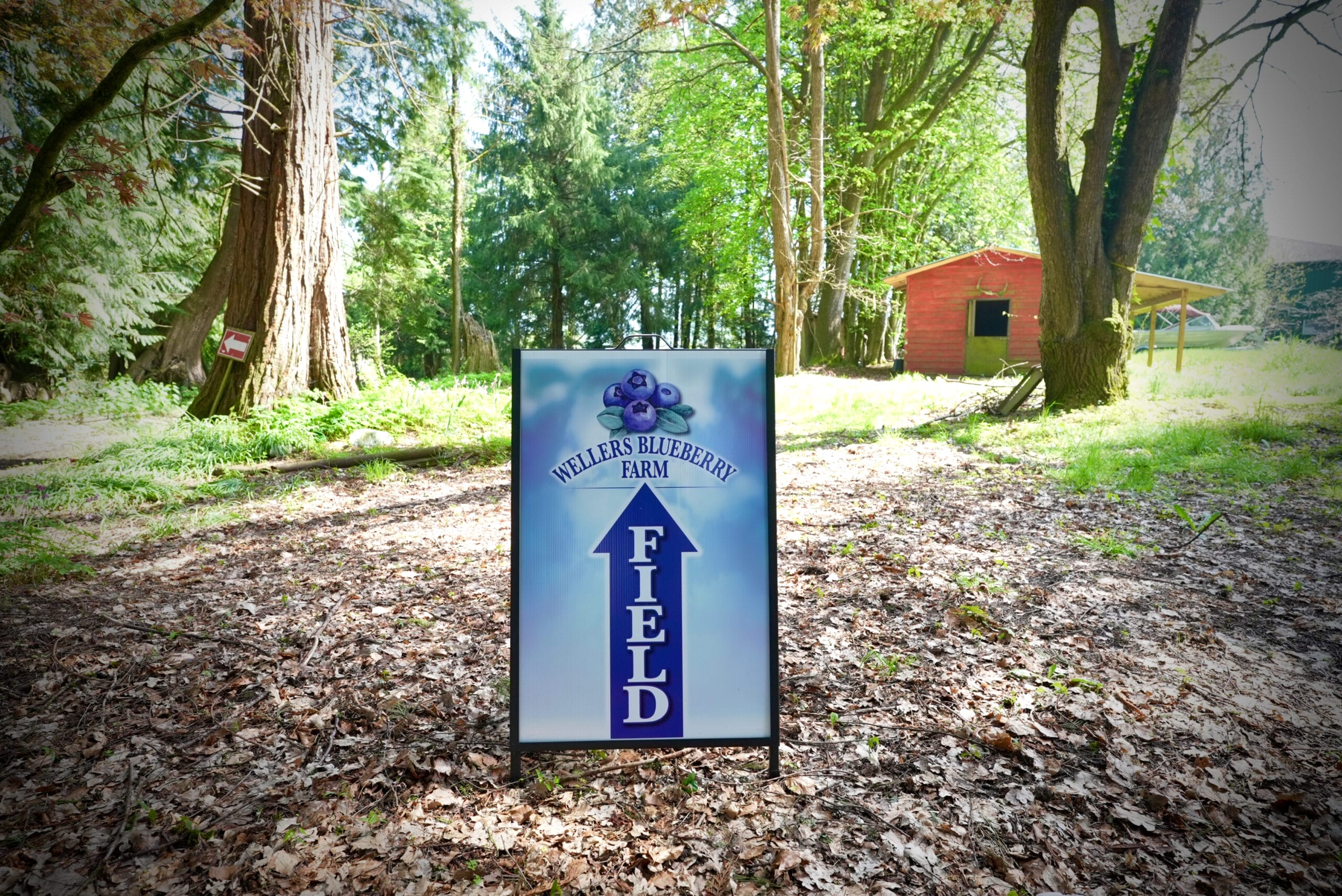 Ff A0d0c910b41d0f2b9b6001584c1d7ee4 Ff DSC04335